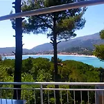 Mare